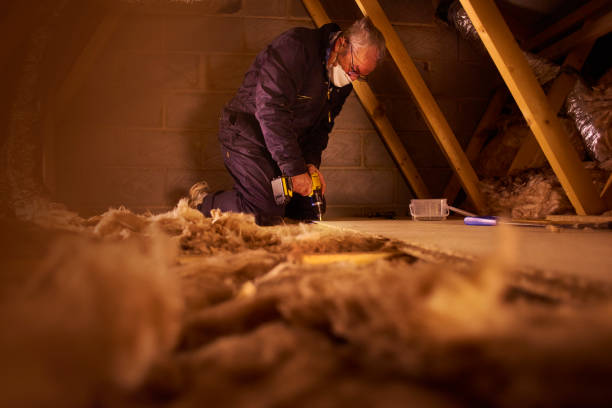 Best Insulation Air Sealing  in Mays Landing, NJ